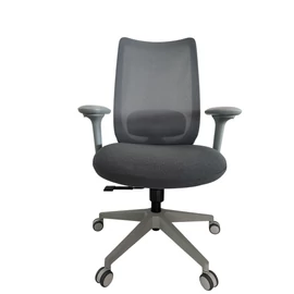 Aaarven, Szürke, 4D kartámla, Deréktámasz, irodai szék