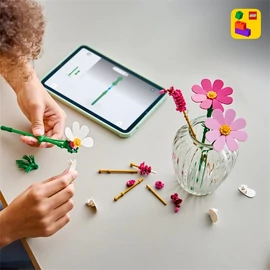 LEGO® Botanicals Pillangóvirágok 11514