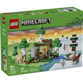 LEGO® Minecraft® Az első éjszaka kalandjai 21593