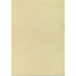 Előnyomott papír, A4, 200 g, APLI, havanna