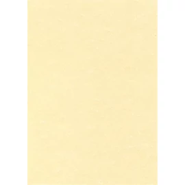 Előnyomott papír, A4, 95 g, pergamen hatású, APLI, pezsgő