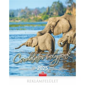 Naptár, fali, CSG, "Csodálatos bolygónk"