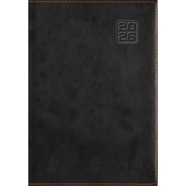 Naptár, tervező, B5, heti, DAYLINER "Square", fekete