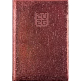 Naptár, tervező, A5, napi, DAYLINER, "Mirror", bronz
