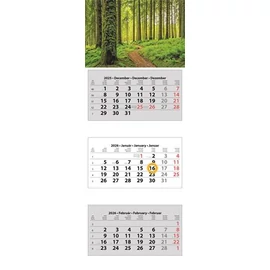 Naptár, speditőr, három hónapos, három tömbös, DAYLINER