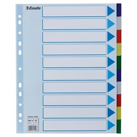Regiszter, műanyag, A4 Maxi, 10 részes, ESSELTE