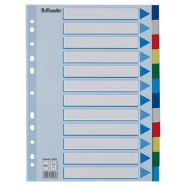 Regiszter, műanyag, A4, 12 részes, ESSELTE