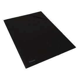 Gumis mappa, karton, A3, ESSELTE "Rainbow", fekete