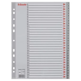 Regiszter, műanyag, A4, 1-31, ESSELTE, szürke