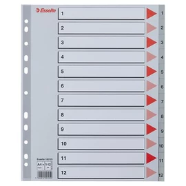 Regiszter, műanyag, A4 Maxi, 1-12, ESSELTE, szürke