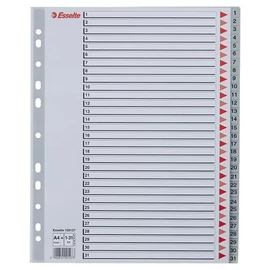 Regiszter, műanyag, A4 Maxi, 1-31, ESSELTE, szürke