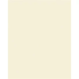 Színes papír, A4, 130 g, 100 lap, FOLIA, bézs