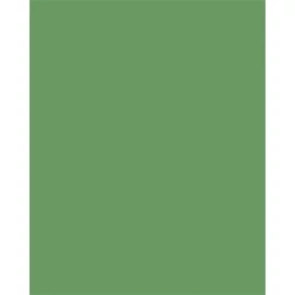 Színes papír, A3, 130 g, 50 lap, FOLIA, mohazöld