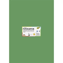 Dekorkarton, 2 oldalas, 50x70 cm, 300 g, 10 lap, FOLIA, mohazöld