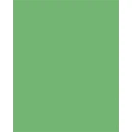 Dekorkarton, 2 oldalas, 50x70cm, 220 g, 10 lap, FOLIA, smaragdzöld