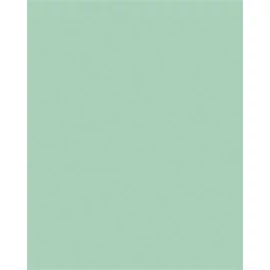 Dekorkarton, 2 oldalas, 50x70cm, 220 g, 10 lap, FOLIA, menta