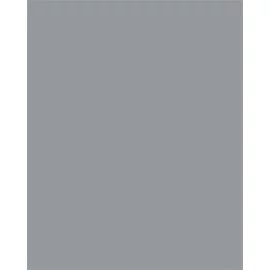 Dekorkarton, 2 oldalas, 50x70cm, 220 g, 10 lap, FOLIA, kőszürke