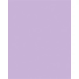 Dekorkarton, 2 oldalas, 50x70cm, 220 g, 10 lap, FOLIA, orgonalila