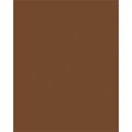 Dekorkarton, 2 oldalas, 50x70cm, 220 g, 10 lap, FOLIA, csokoládé barna