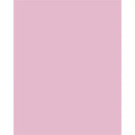 Dekorkarton, 2 oldalas, 50x70cm, 220 g, 10 lap, FOLIA, halvány rózsaszín