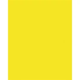 Dekorkarton, 2 oldalas, 50x70cm, 220 g, 10 lap, FOLIA, citromsárga