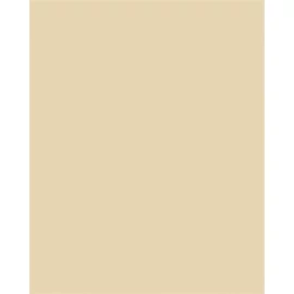 Dekorkarton, 2 oldalas, 50x70cm, 220 g, 10 lap, FOLIA, bézs