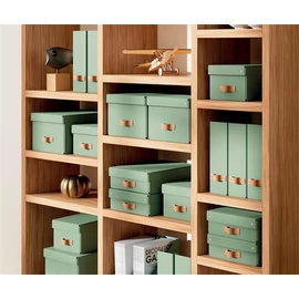 Iratpapucs, karton, 100 mm, LEITZ "Puro", zsályazöld