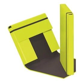 Füzetbox, A4, 40 mm, karton, PAGNA "Trend", lime zöld