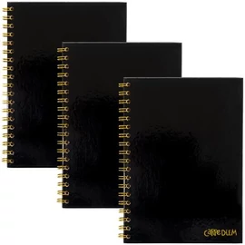 Spirálfüzet, B5, vonalas, 80 lap, FSC, PUKKA PAD "Carpe Diem", fekete