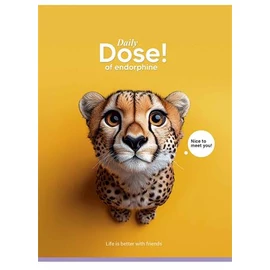 Füzet, tűzött, A5, kockás, 48 lap, SHKOLYARYK "Nice to meet you", vegyes