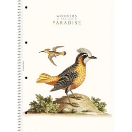 Spirálfüzet, A4, vonalas, 80 lap, SHOLYARYK "College Block Wonders", vegyes