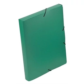 Gumis mappa, 30 mm, PP, A4, VIQUEL "Essentiel", zöld