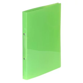 Gyűrűs könyv, 2 gyűrű, 20 mm, A4, PP, VIQUEL "Propyglass", zöld