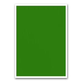 Etikett címke, 210x297mm, 1 címke/lap zöld Bluering®