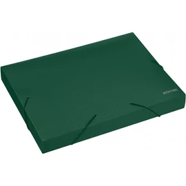 Gumis mappa A4, PP rombuszmintás gerincvastagított 40mm, Economix zöld