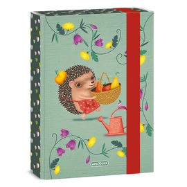 Ars Una Apple Pie 24 (5349) A5 füzetbox