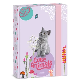 Ars Una Cute Animals-Kitten 24 (5368) A5 füzetbox