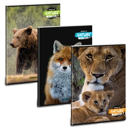 Ars Una Spirit Of Nature 24 (5422) A4 extra kapcsos kockás füzet