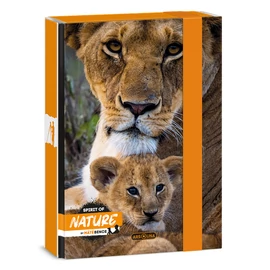Ars Una Máté Bence-Lion 24 (5433) A5 füzetbox