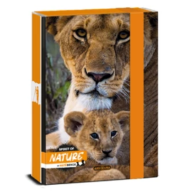 Ars Una Máté Bence-Lion 24 (5433) A5 füzetbox