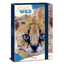 Ars Una Icons of the Wild-Serval 25 (5503) A4 füzetbox