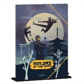 Ars Una Ninjas in the dark 25 (5457) A4 gumis mappa