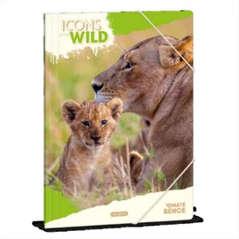 Ars Una Icons of the Wild-Lions 25 (5504) A4 gumis mappa