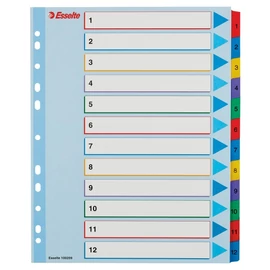 Esselte A4 extra széles 1-12 újraírható regiszter