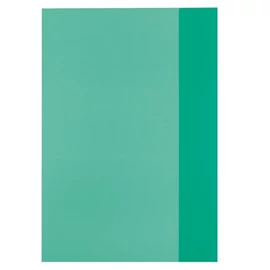 Herlitz A4 átlátszó zöld füzetborító