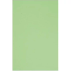 Kreatív A4 2mm világoszöld dekorgumilap