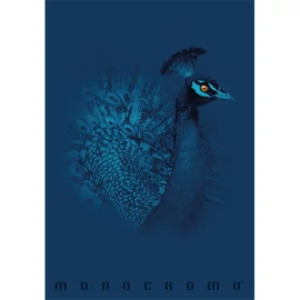 Pigna Monocromo Blue A4 tűzött 38 lapos kockás füzet