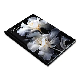 Realsystem 2026 Picture 5611-60 írisz B5 heti beosztású határidőnapló