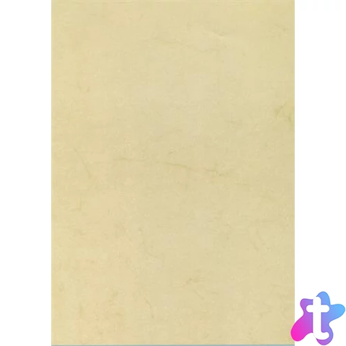 Előnyomott papír, A4, 200 g, APLI, havanna