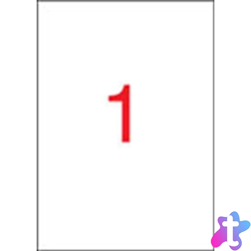 Etikett, 210x297 mm, poliészter, időjárásálló, matt fehér, APLI, 20 etikett/csomag